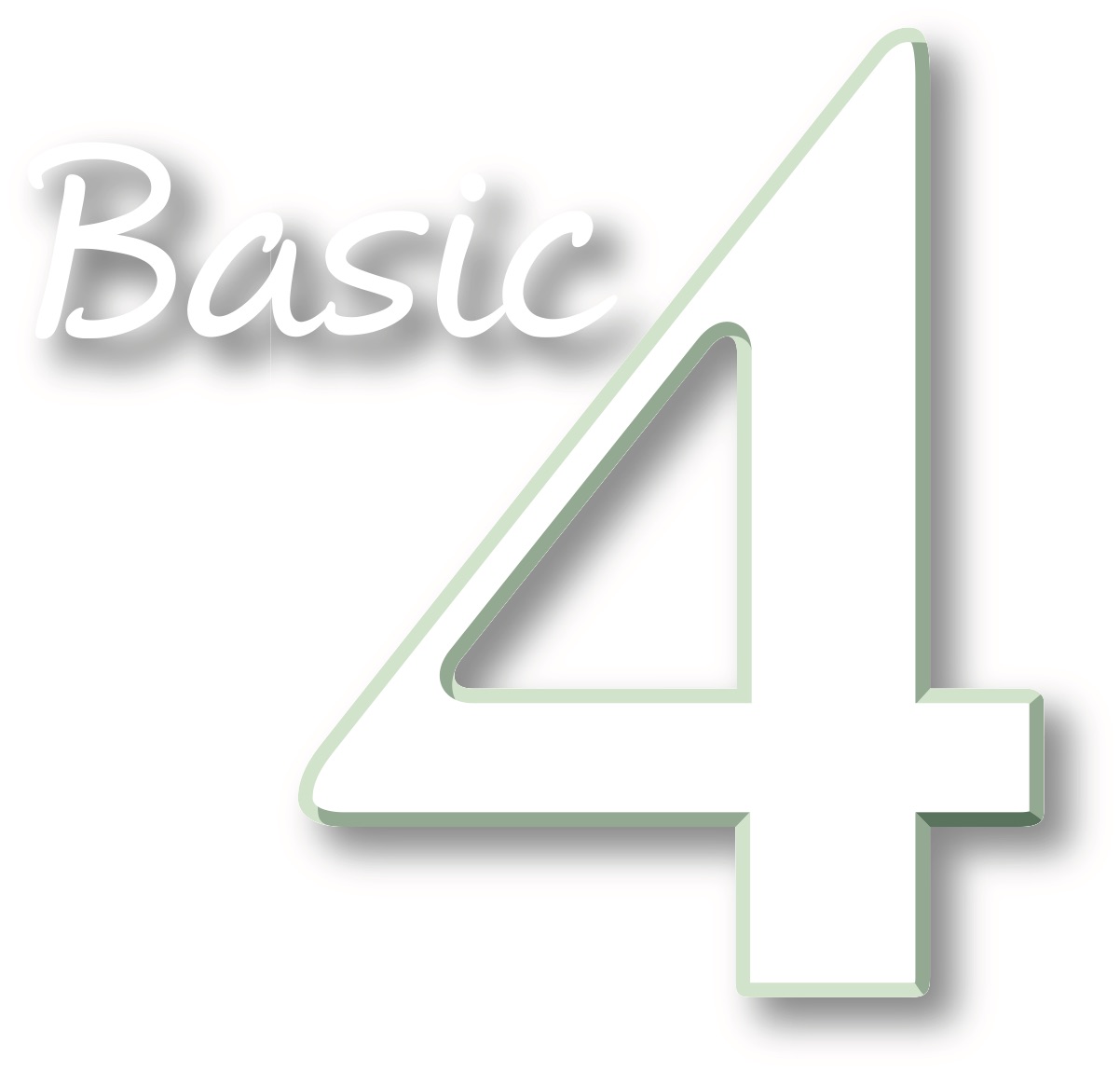 BASIC 4