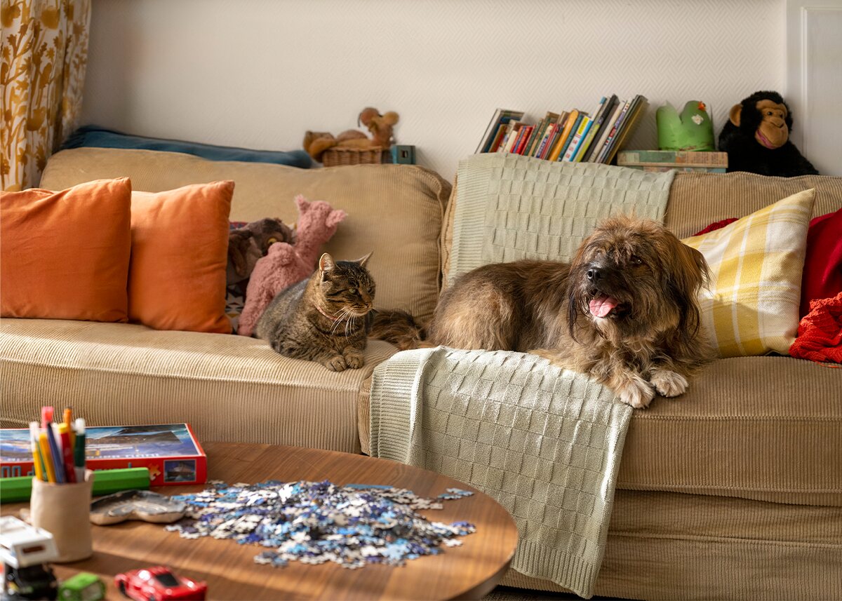 Hill's Pet Nutrition background image