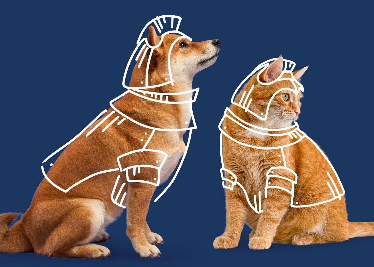 PETARMOR background image