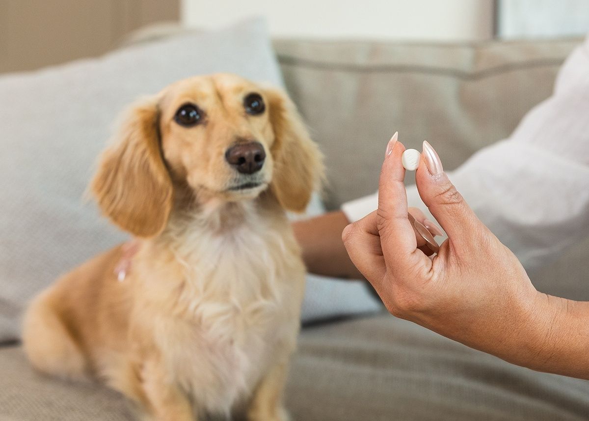 CAPSTAR background image