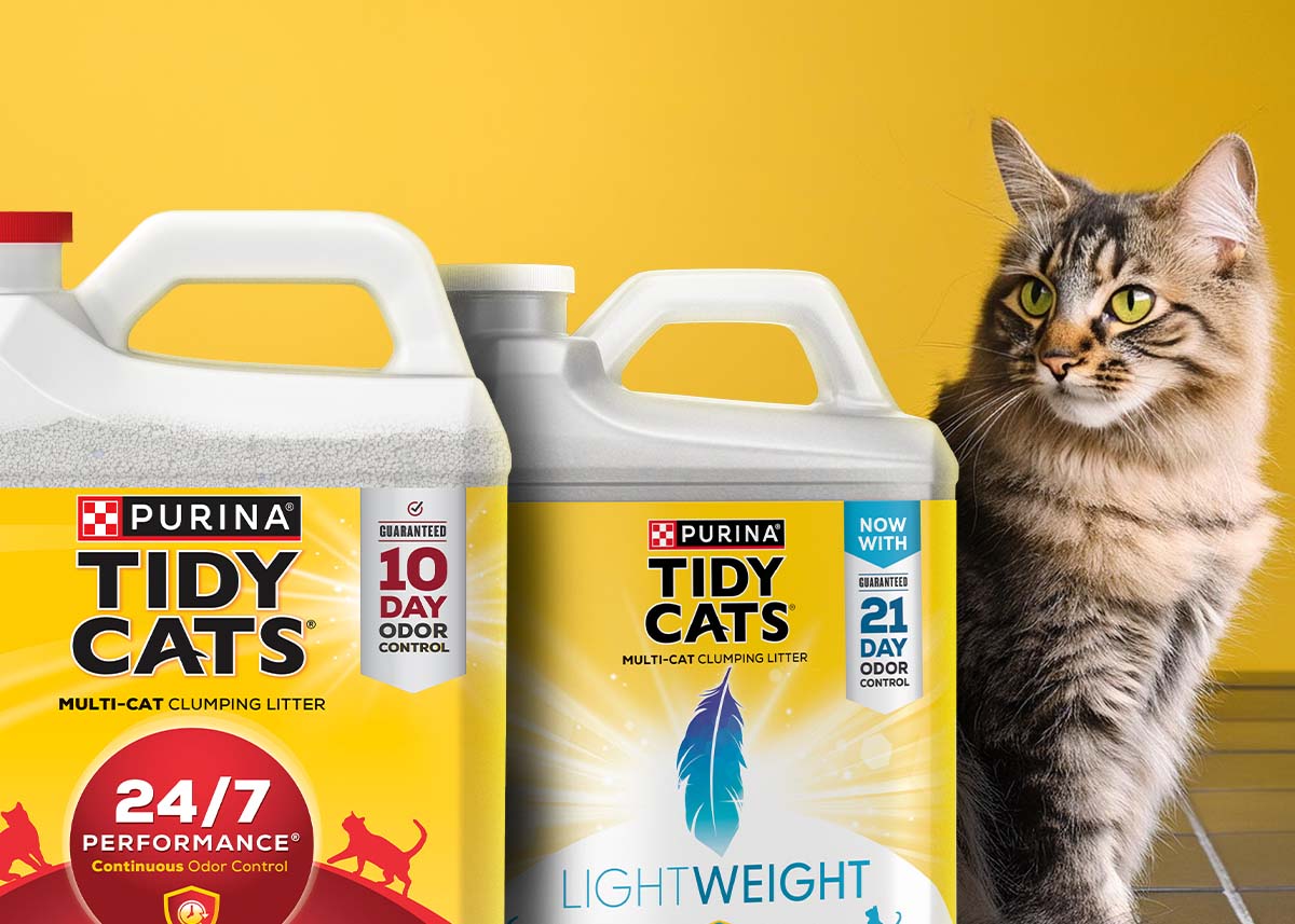 Tidy Cats background image