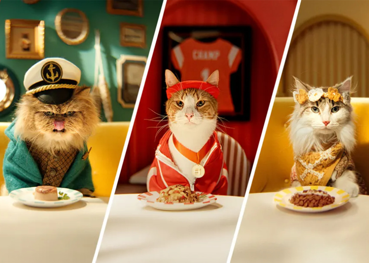 Purrfect Bistro background image