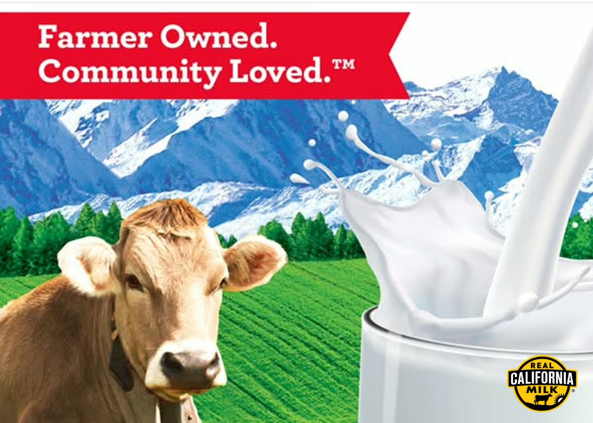 Swiss Premium Dairy background image