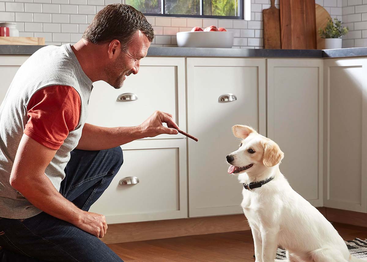 Pup-Peroni background image