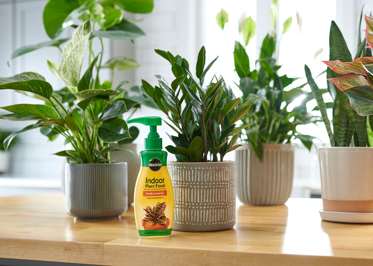 Miracle-Gro background image