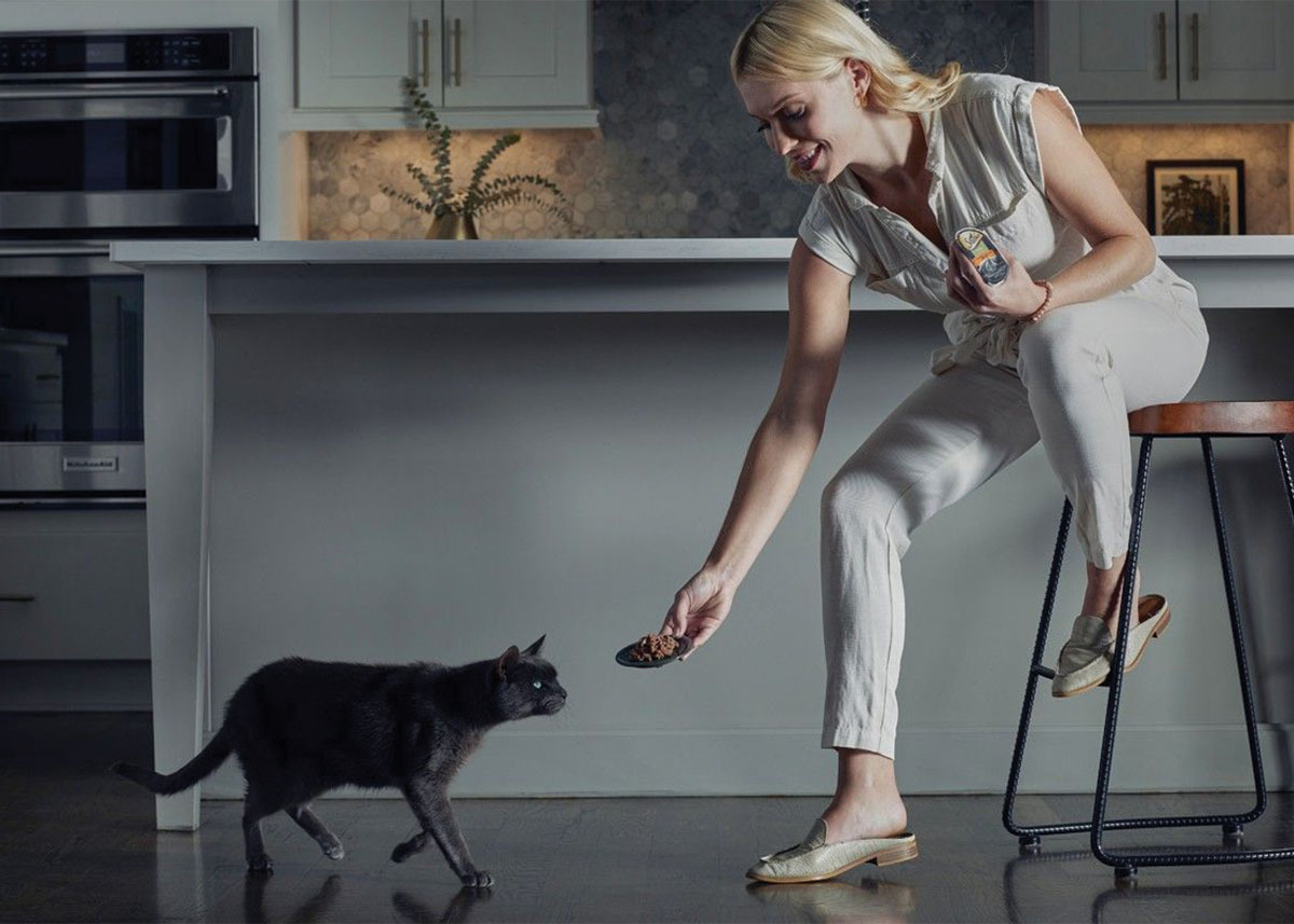 Sheba background image