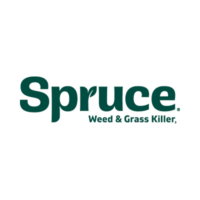 Spruce