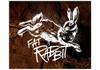 Fat Rabbit