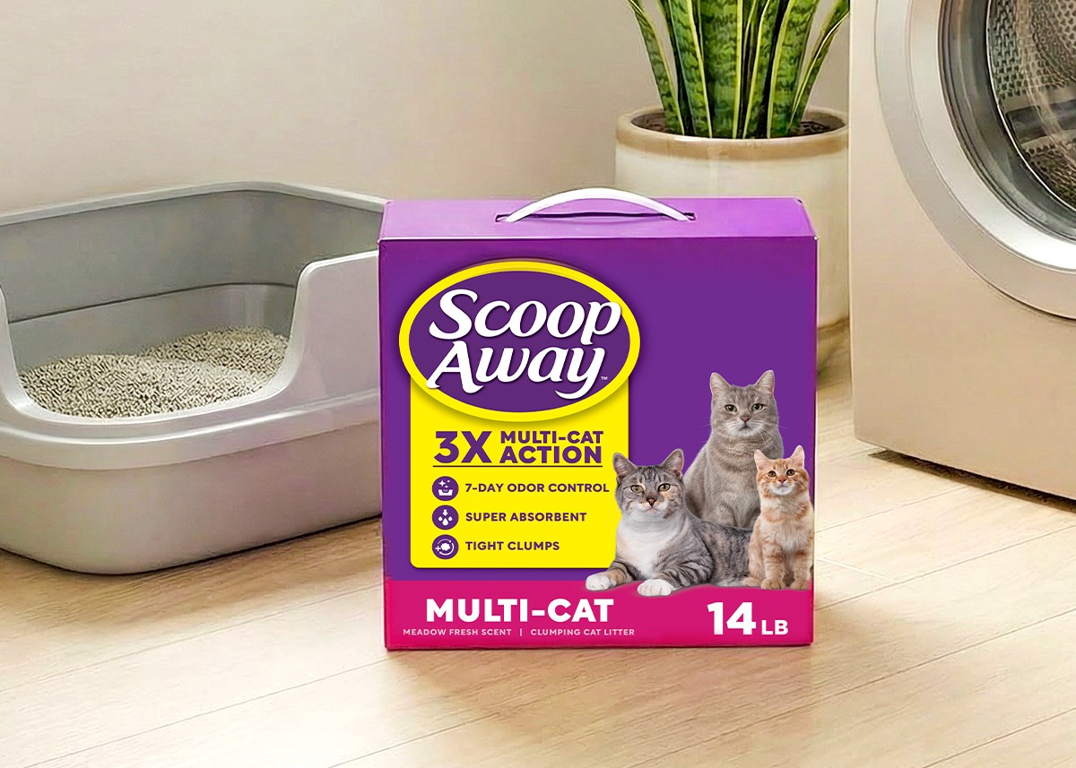 Scoop Away background image