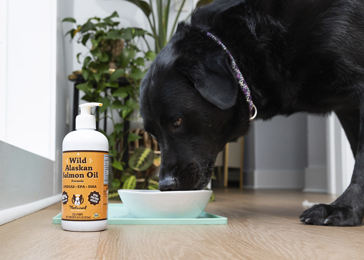 Natural Dog Company background image