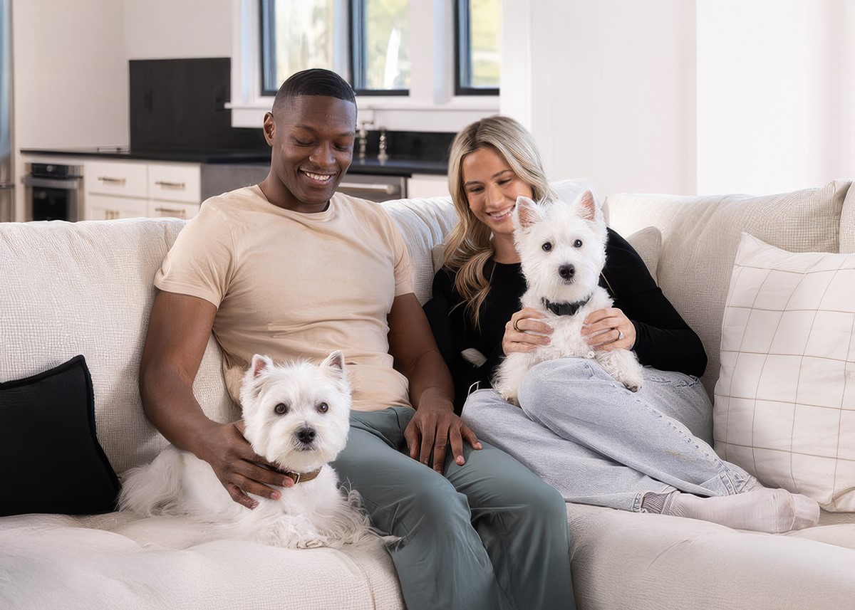 CESAR background image