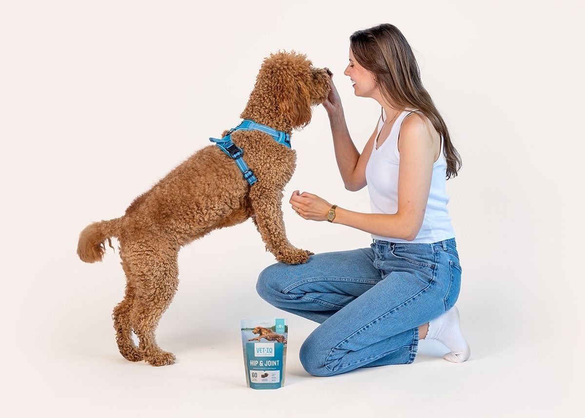 VETIQ background image