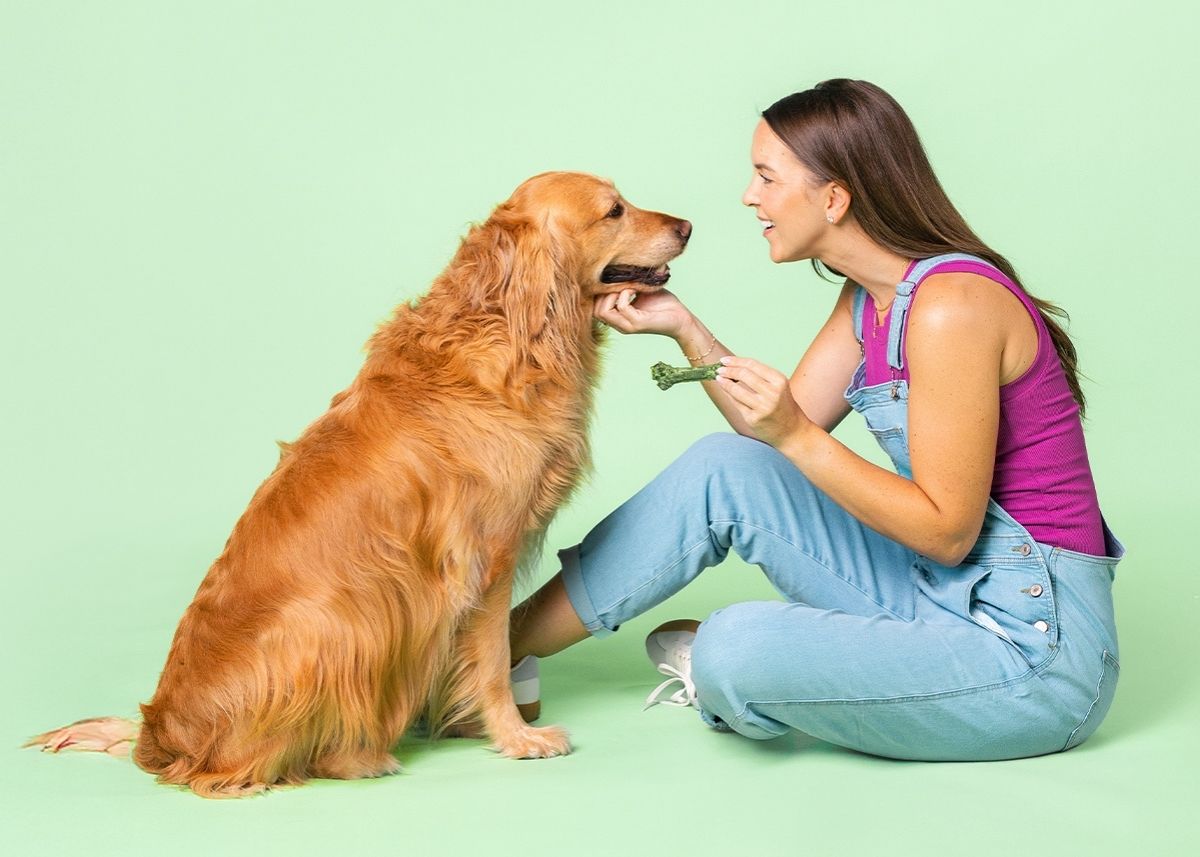 MINTIES background image