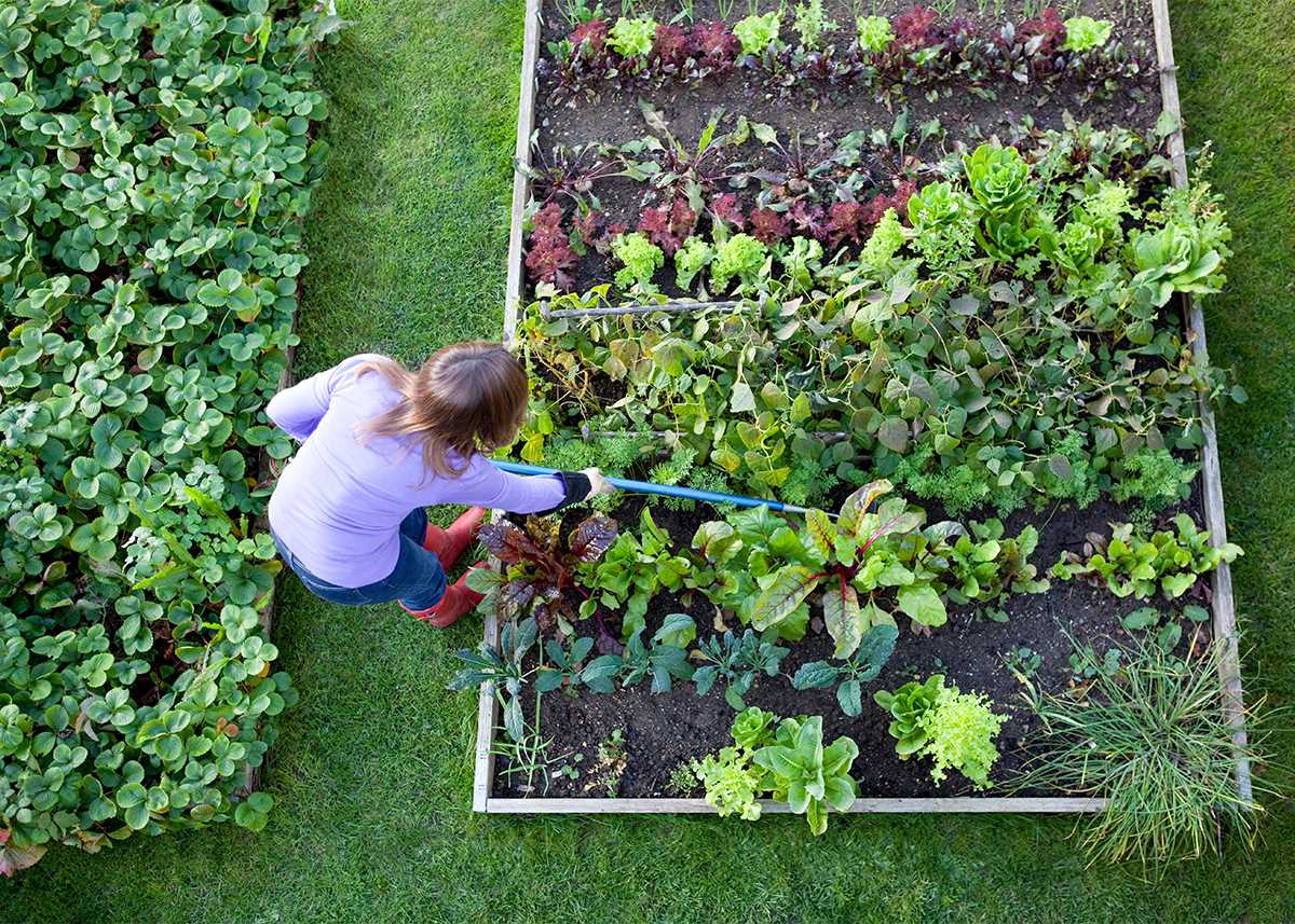 Neosporin background image