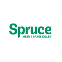 Spruce