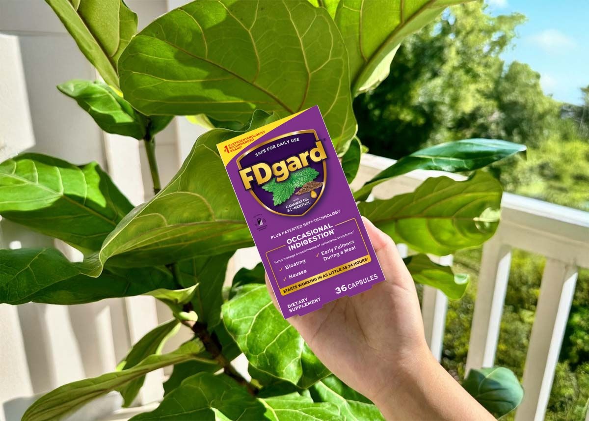 FDgard background image