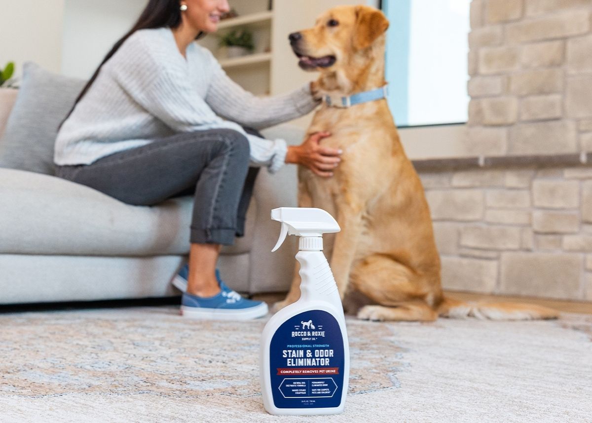 Rocco & Roxie background image