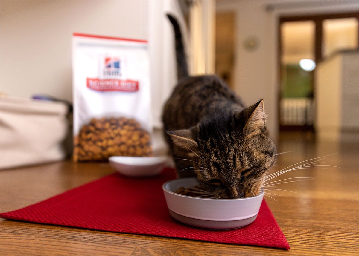 Hill's Pet Nutrition background image
