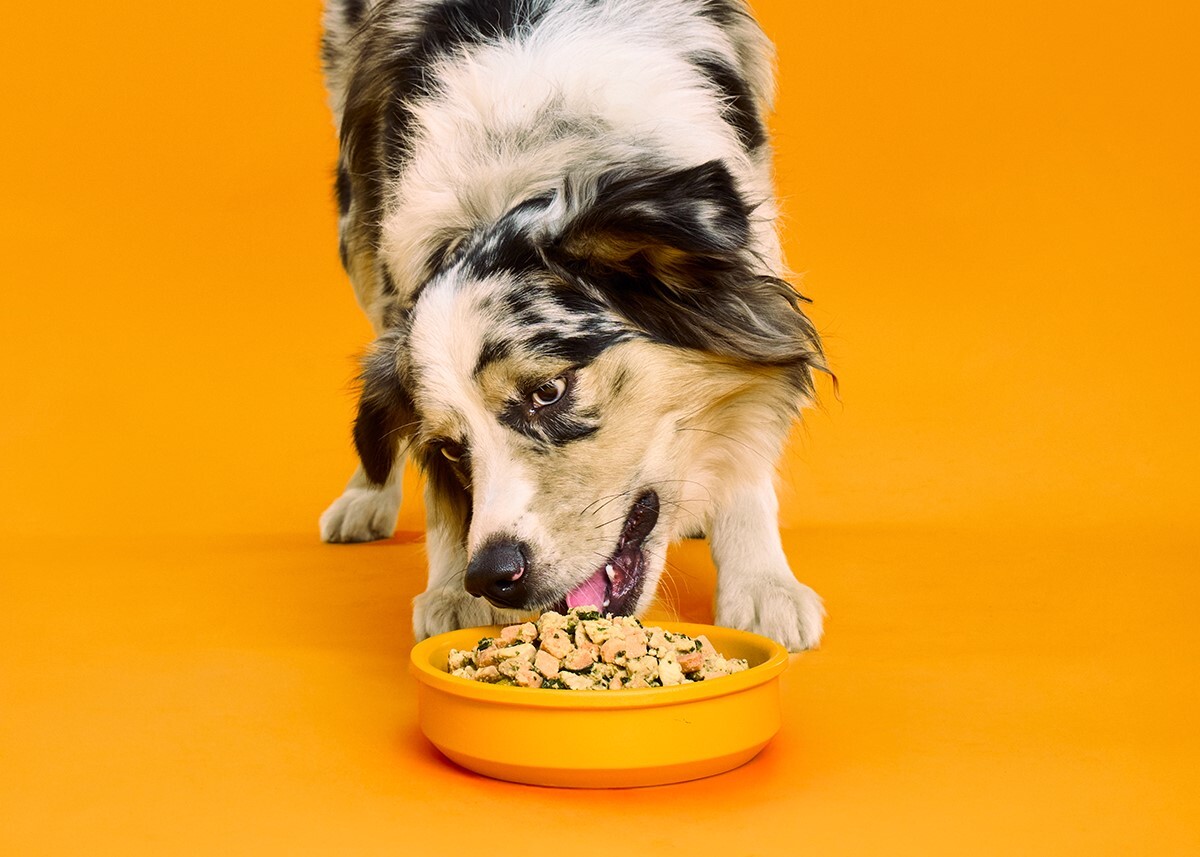 Nom Nom background image