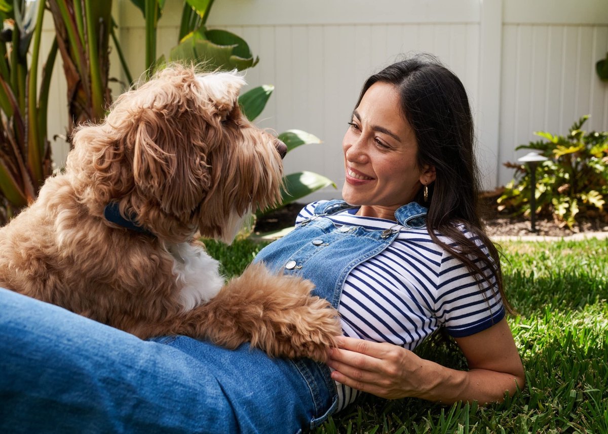 Petco background image