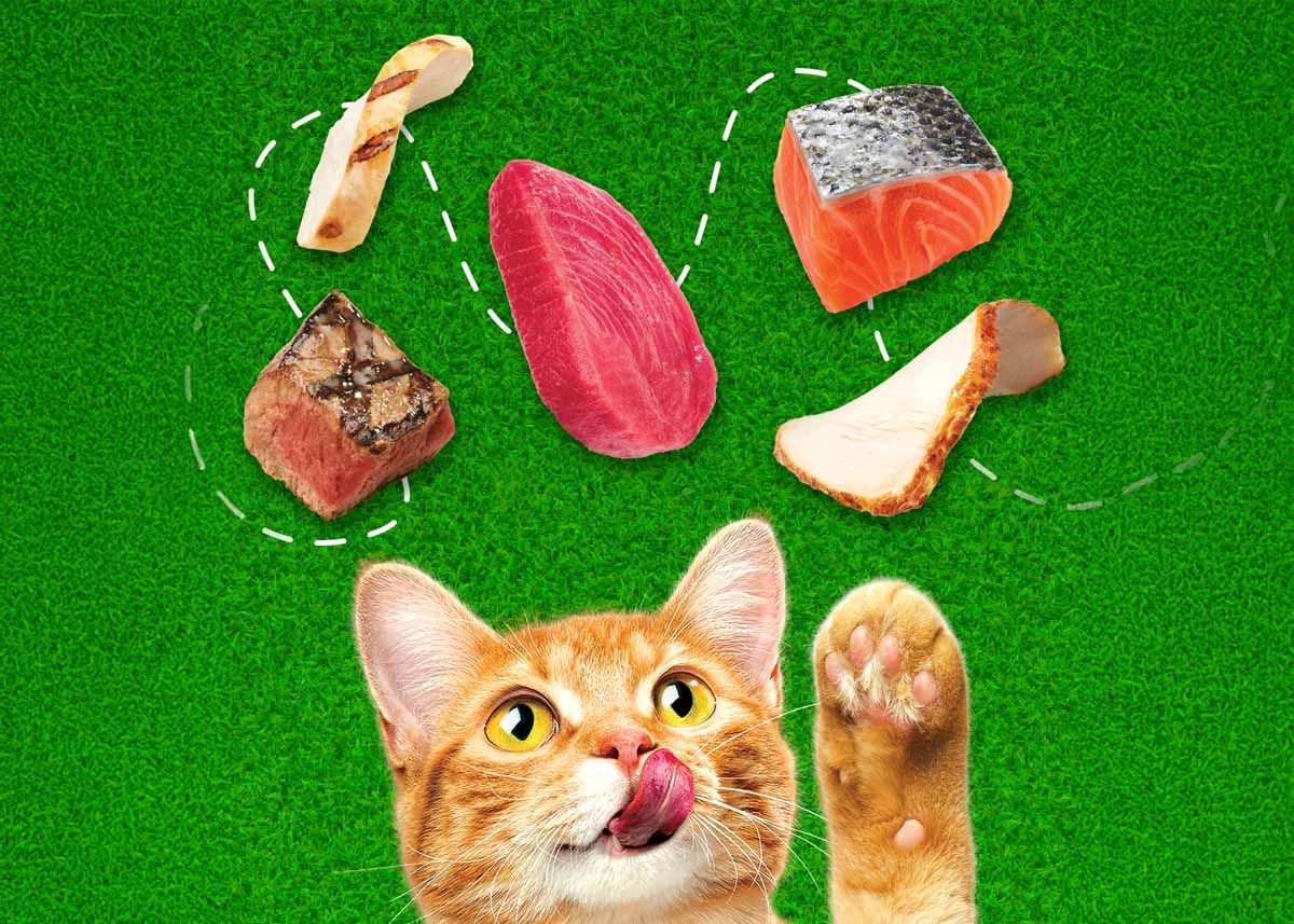 Friskies background image