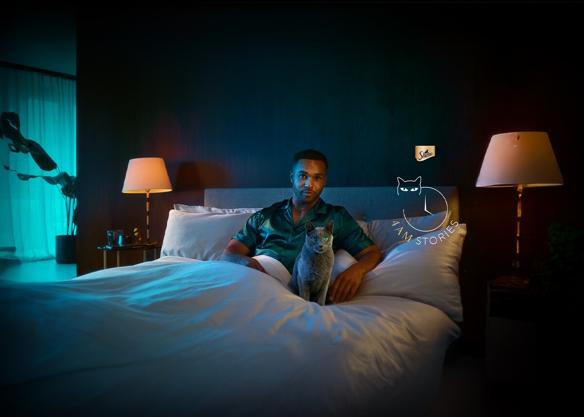 Sheba background image