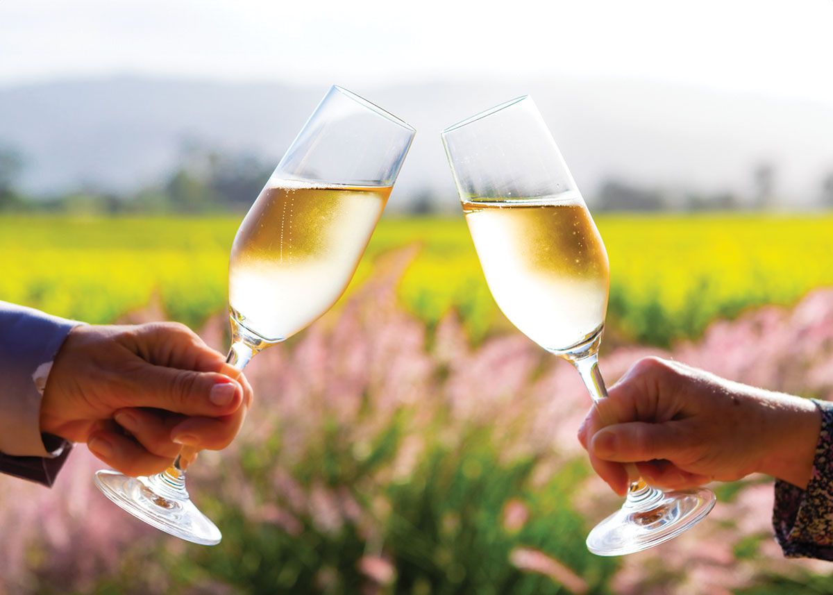 Mumm Napa background image