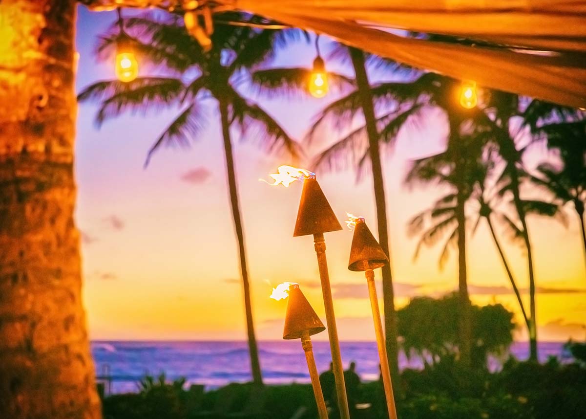 Maui Style Chips background image