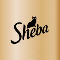 Sheba