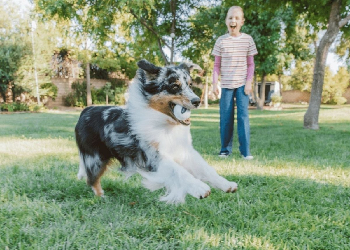 Scotts background image